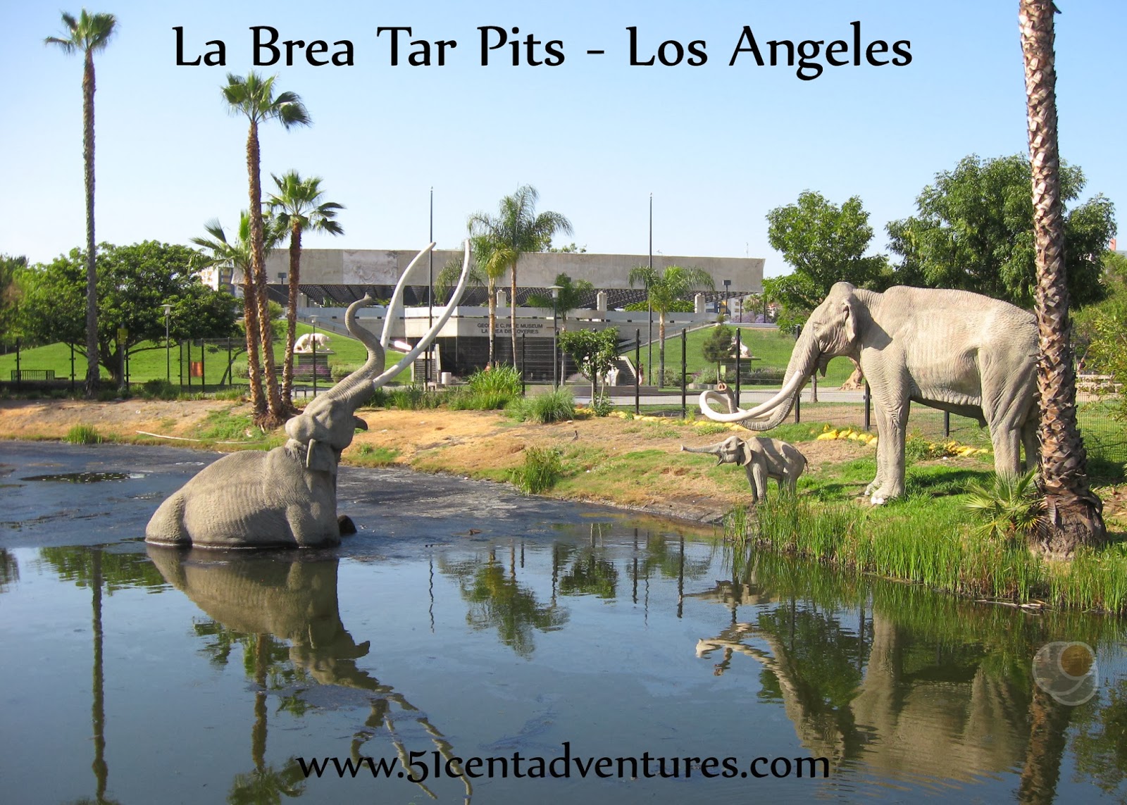 Web the la brea tar pits is an active paleontological research site in urban los angeles. 51 Cent Adventures La Brea Tar Pits Los Angeles, California