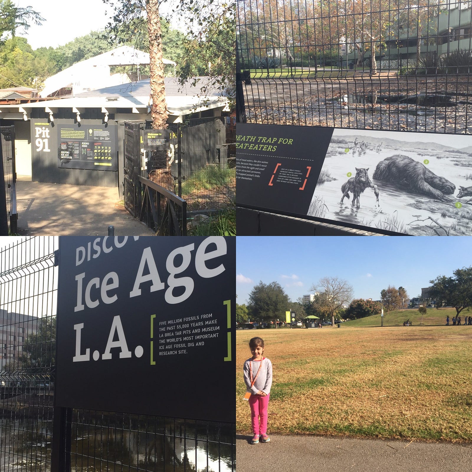 It is free to see the tar pits and enter hancock park, but it is not free to enter the museum or to go into the observation pit without a ticket. A Day in the Park La Brea Tar Pits, LACMA & Everything In Between