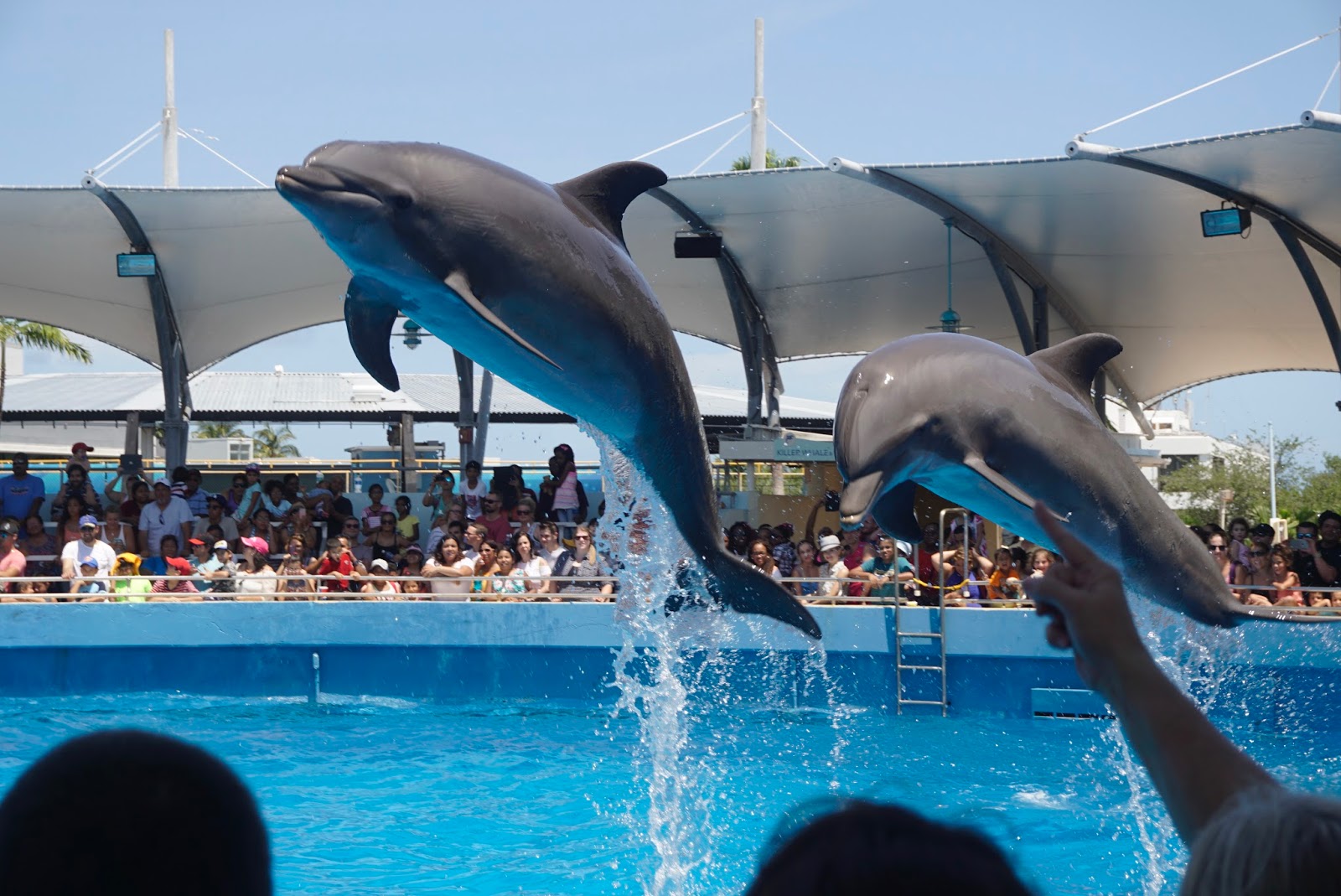 Made in the West Indies Five Things to do at Key Biscayne