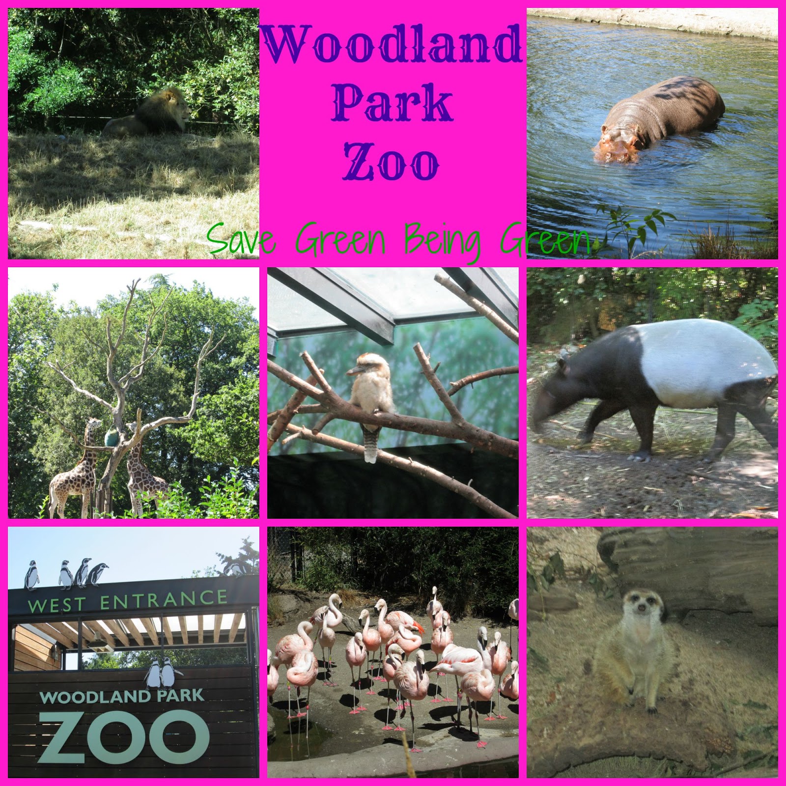7 coupons and 16 deals which offer up to 15% off , $2 off , free shipping and extra discount, make sure to use one of them when you're shopping for. Save Green Being Green Wordless Wednesday Woodland Park Zoo