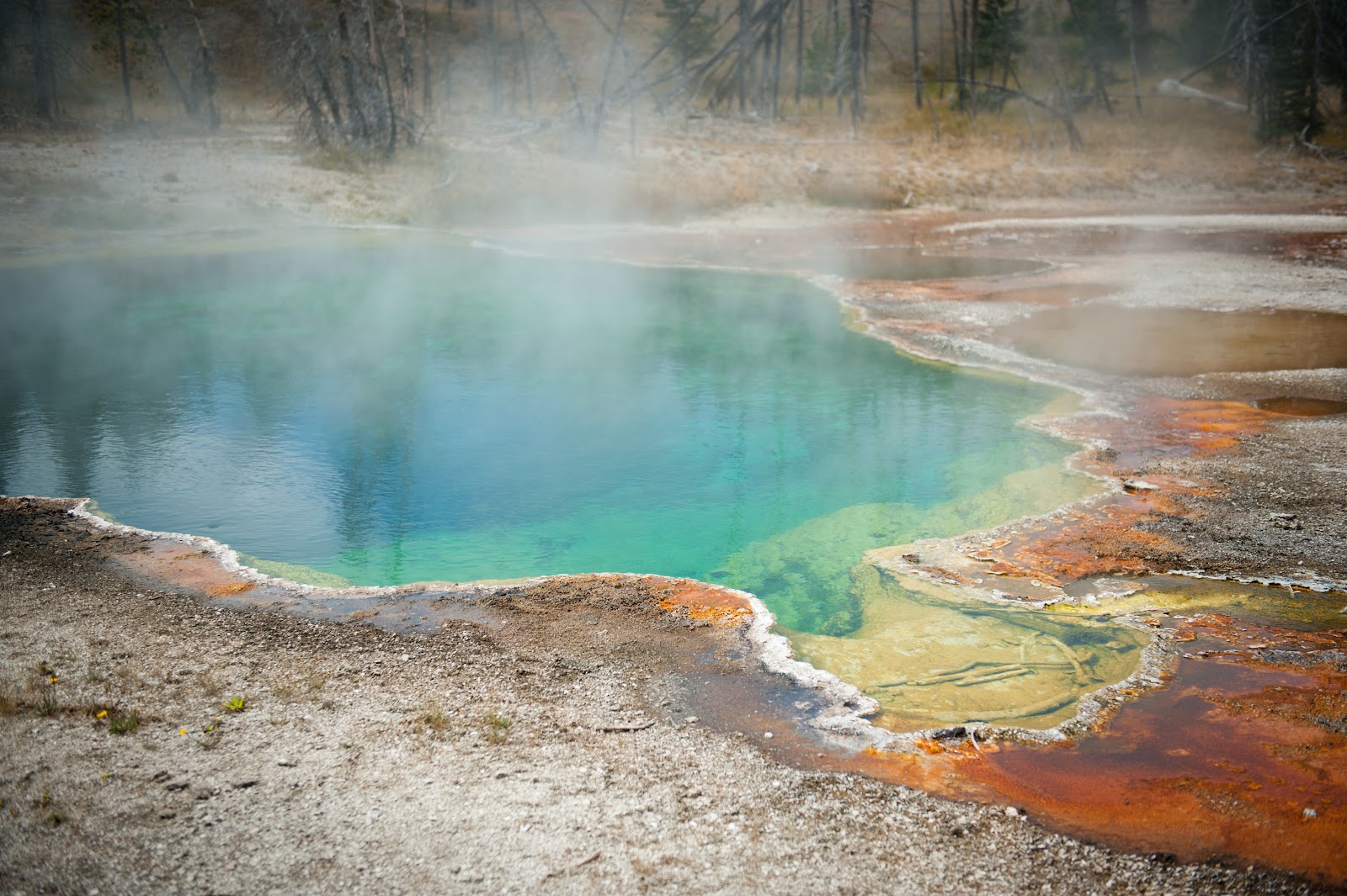 The intense heat of the groundwater below the paint pots causes the mud in these pots to bubble and boil like soup on a stove. Left Coast Life YELLOWSTONE PAINT POTS