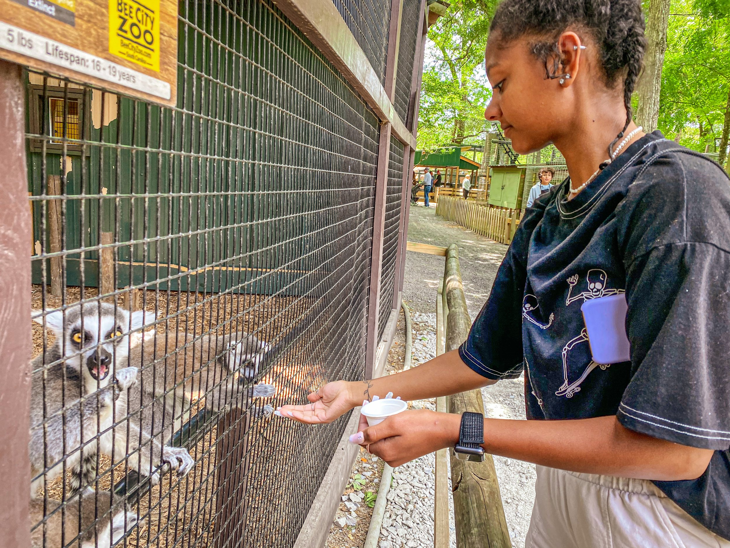 Web are you looking for a fun and educational experience with nature and animals? Bee City Field Trip — Lowcountry Field Trips