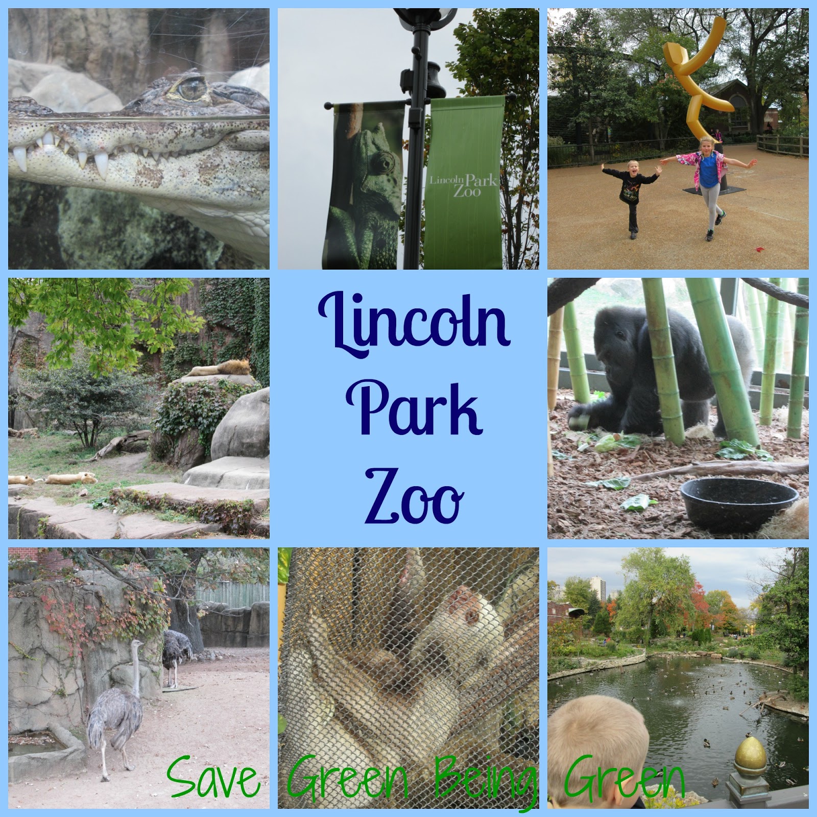) north gate (closed) ( map pin) west gate ( map pin. Save Green Being Green Wordless Wednesday Lincoln Park Zoo in Chicago