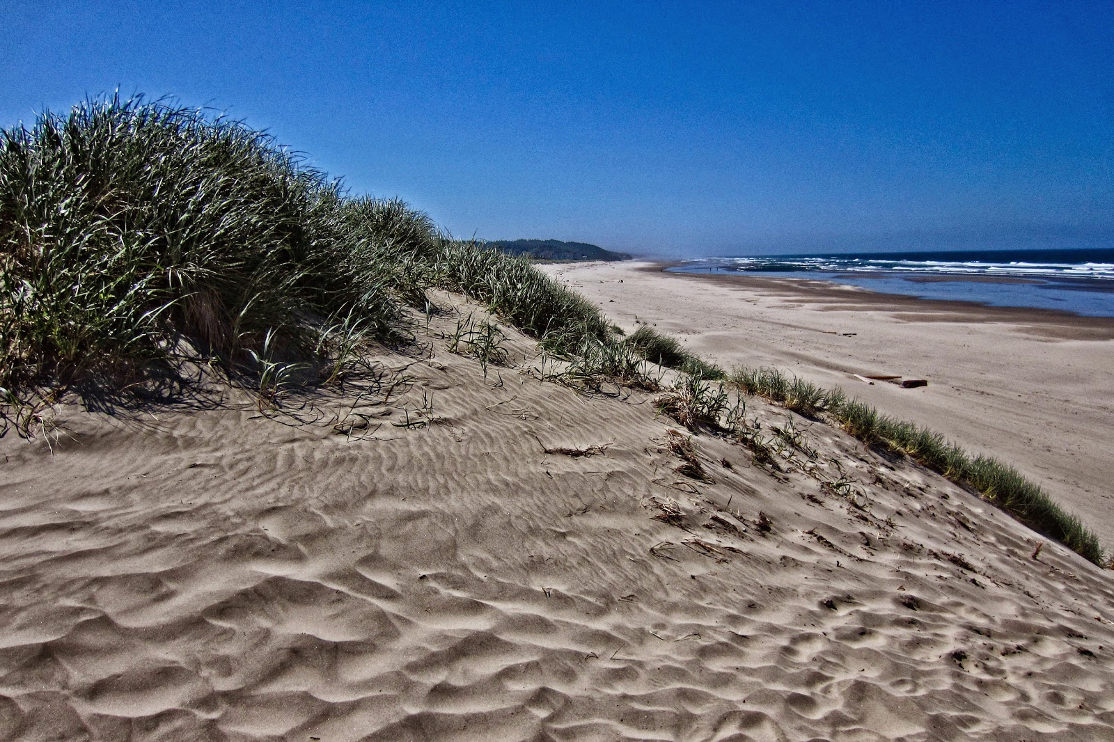 Get directions, reviews and information for south beach state park in newport, or. Thom Zehrfeld Photography South Beach State Park