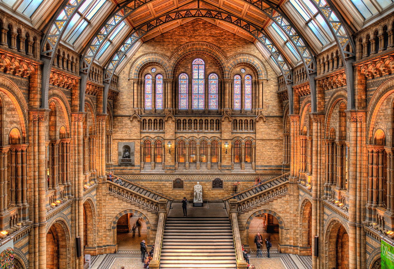 Disabled visitors can see the newest edition of wildlife photographer of the year away from daytime crowds. Natural History Museum In South Kensington, England Great Panorama