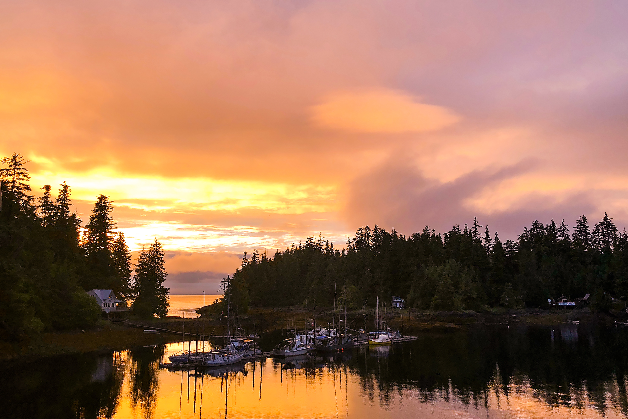 Thanks for supporting the alaska handbook community! Fishing and in the Remote Outpost of Port Protection in