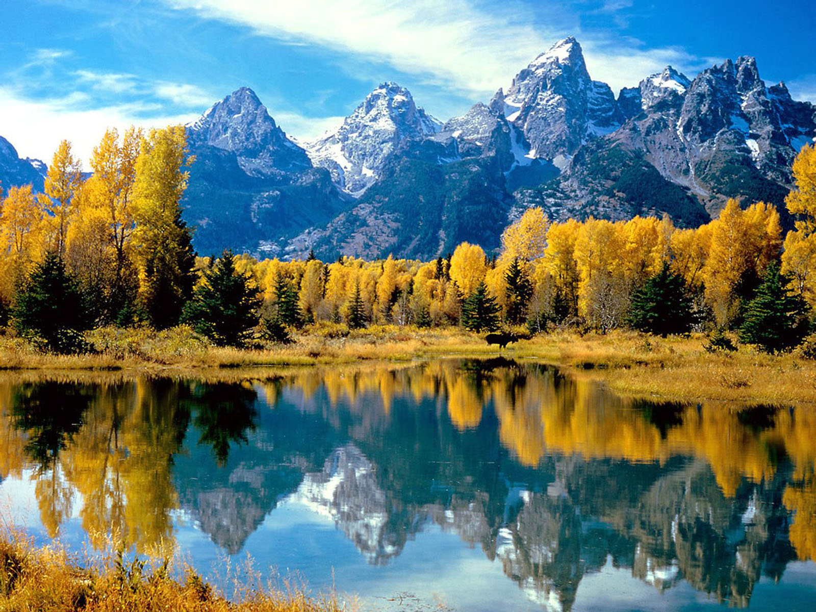 Moran is part of the tetons range in the grand teton national park. wallpapers Grand Teton National Park Wallpapers