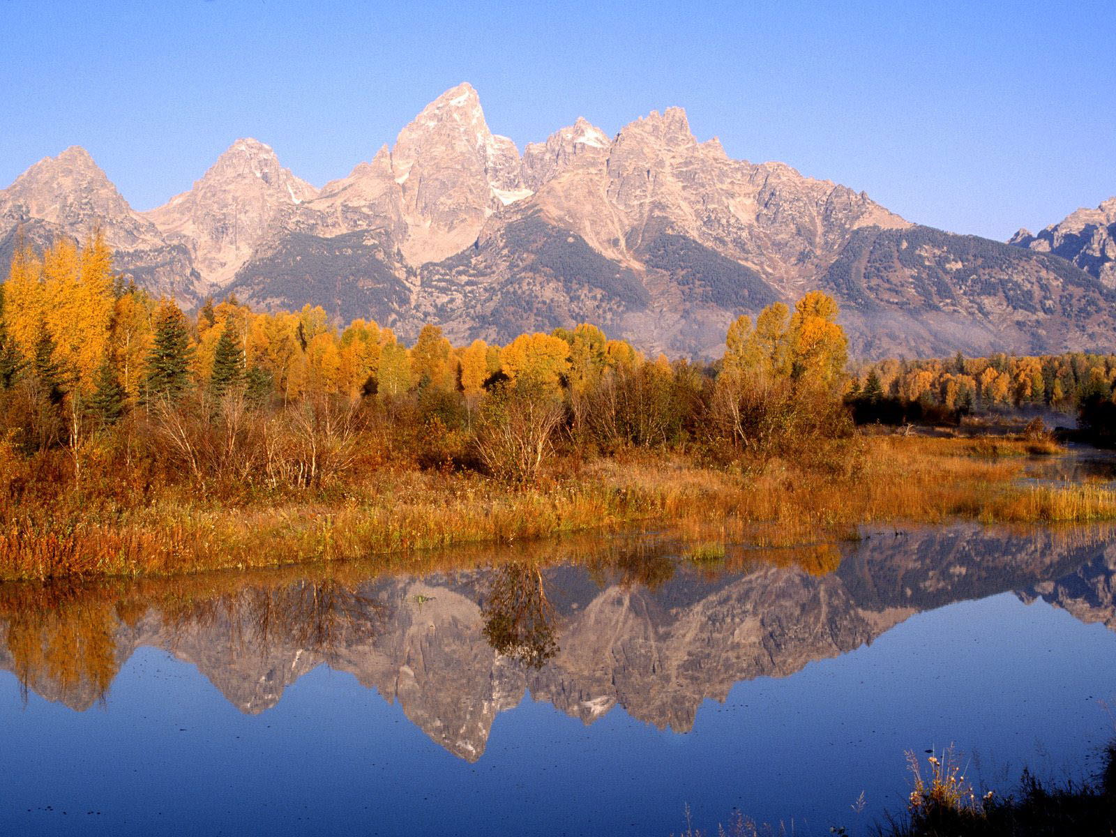 Do your research to find the best photo spots at grand teton Grand Teton National Park Wallpapers